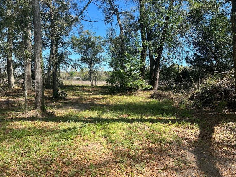 Natural landscape and outdoor views near  in Branford (Image 30).