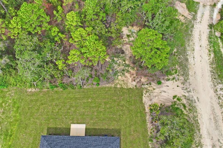 Natural landscape and outdoor views near  in Brooksville (Image 55).