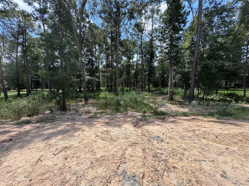 Natural landscape and outdoor views near  in Splendora (Image 48).