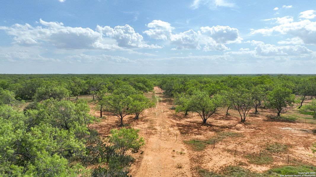Natural landscape and outdoor views near  in Jourdanton (Image 31).