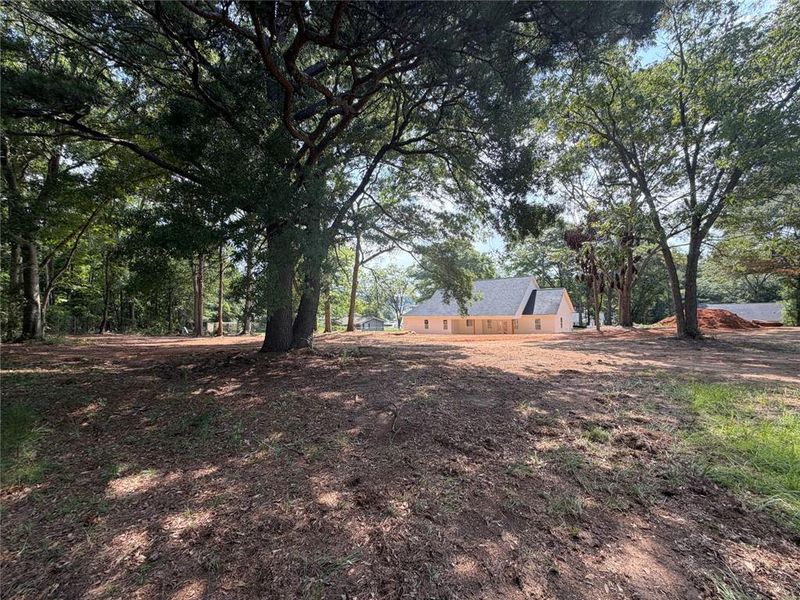 Natural landscape and outdoor views near  in Loganville (Image 5).