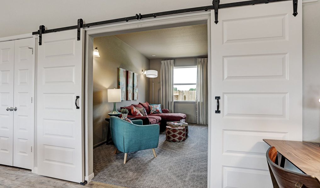 Media room with barn doors option