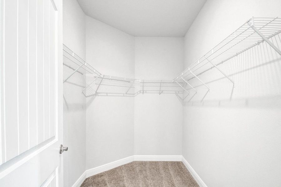 Spacious, unfurnished interior of a new home in Parkland Place, Pace (Image 16).