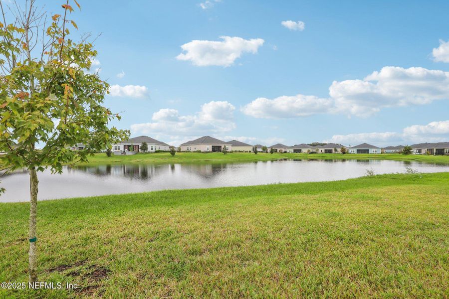 Natural landscape and outdoor views near  in Green Cove Springs (Image 55).