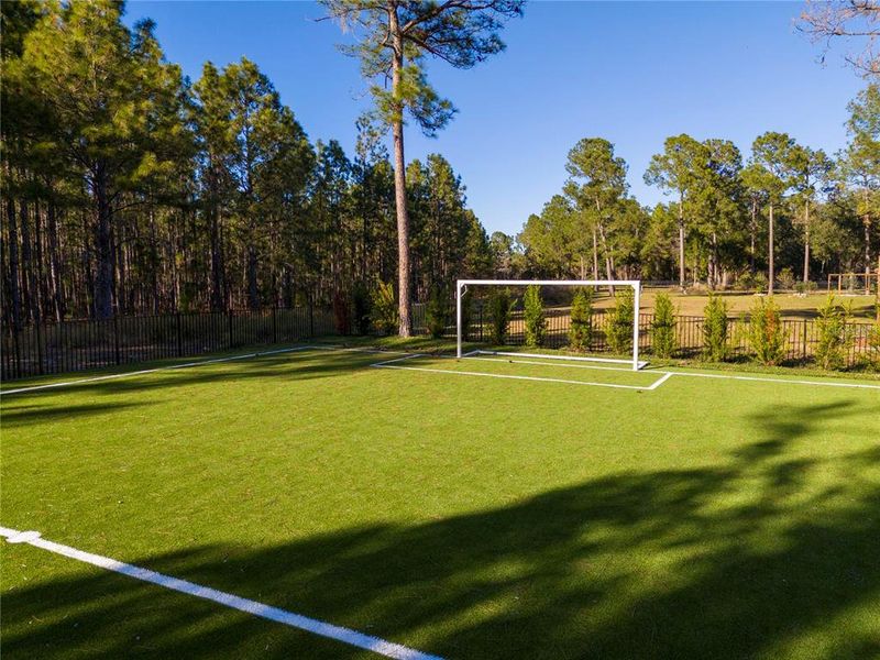 Natural landscape and outdoor views near  in Montverde (Image 72).