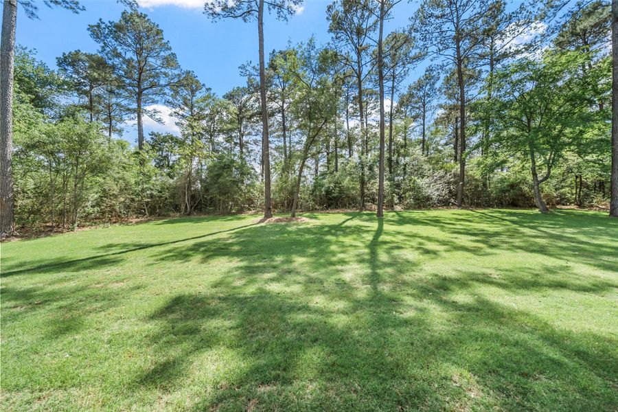 Natural landscape and outdoor views near  in Plantersville (Image 37).
