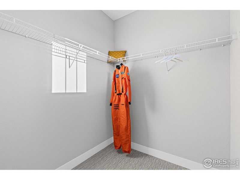 Spacious, unfurnished interior of a new home in Farmstead, Berthoud (Image 21).