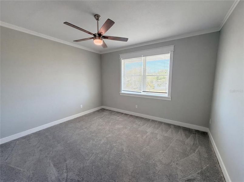 Spacious, unfurnished interior of a new home in , Dunedin (Image 45).
