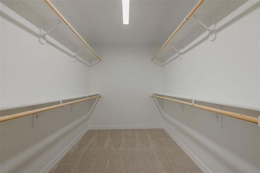 Walk in closet with light carpet