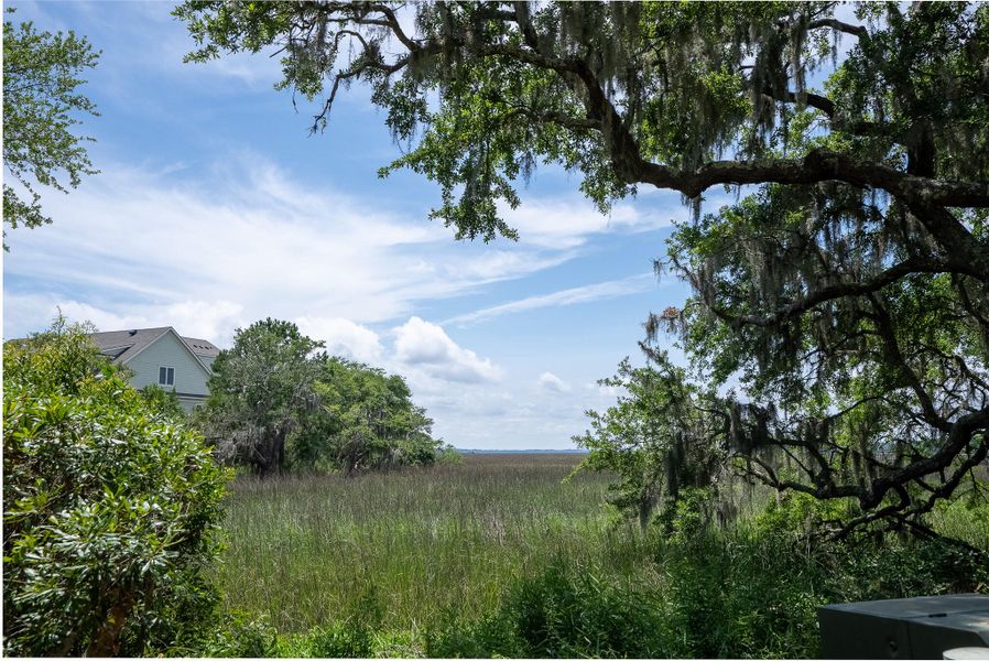 Natural landscape and outdoor views near in Seabrook Island (Image 36). Natural landscape and outdoor views near in Seabrook Island (Image 36).