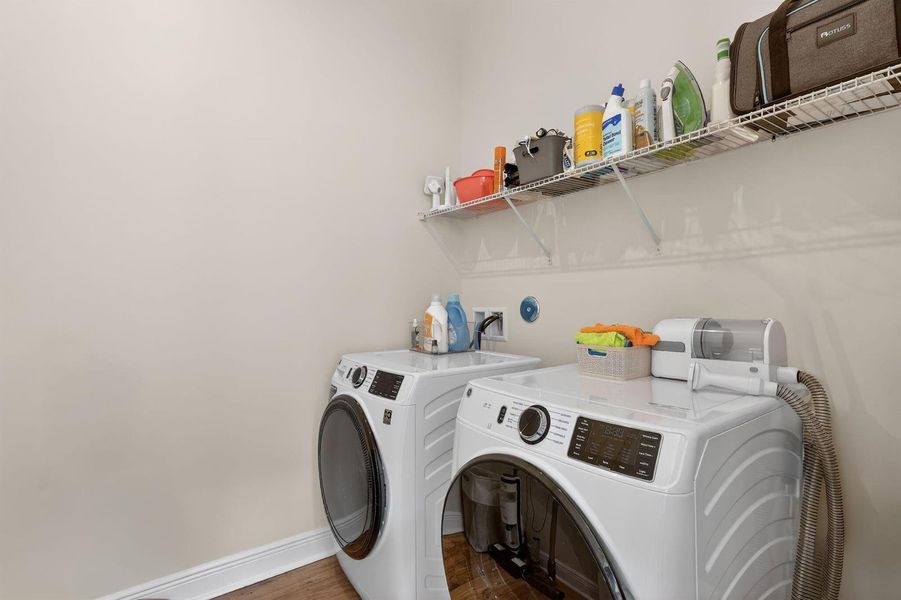 37-web-or-mls-5P1A0817