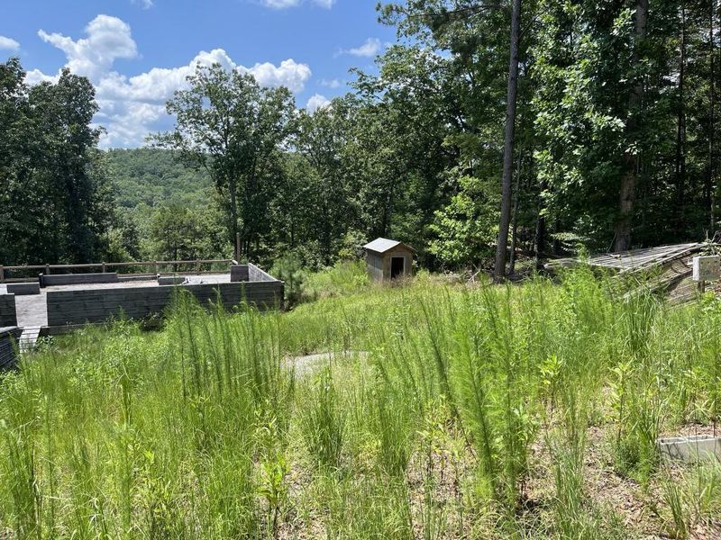 Natural landscape and outdoor views near in Ranger (Image 11). Natural landscape and outdoor views near in Ranger (Image 11).