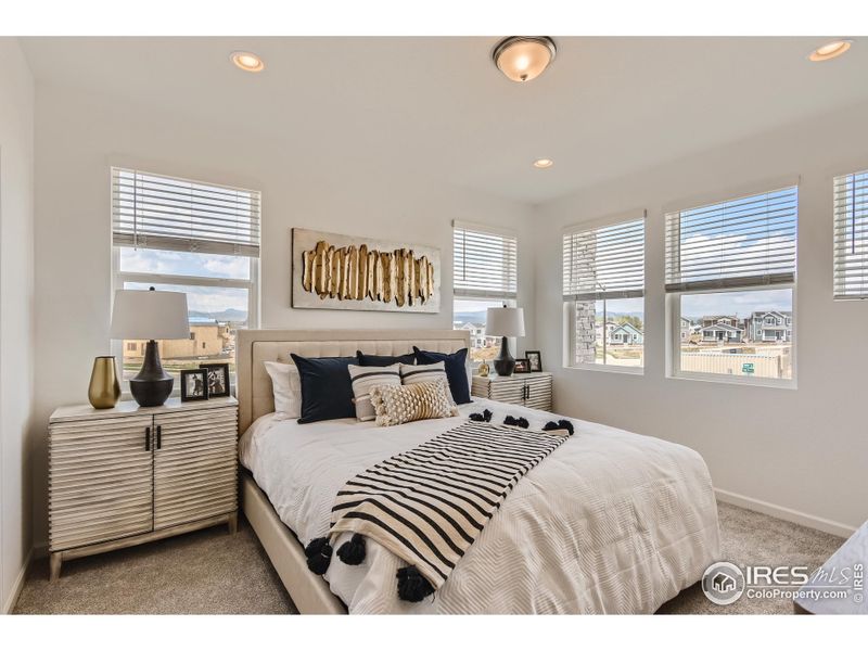 Primary Bedroom with plenty of natural light and walk in closet! Primary Bedroom with plenty of natural light and walk in closet!