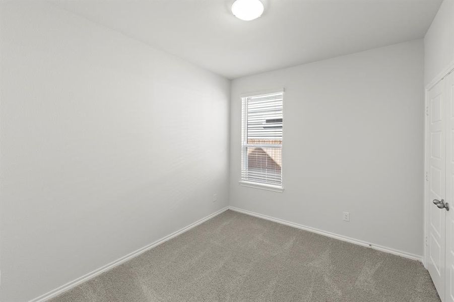 15. 3732 Honey Daisy - Bed 2