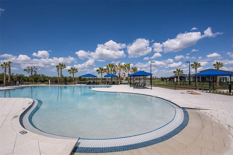 Community amenities in Woodland Preserve, Parrish (Image 52).