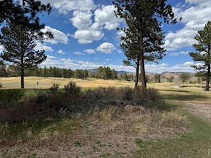 Natural landscape and outdoor views near  in Red Feather Lakes (Image 34).
