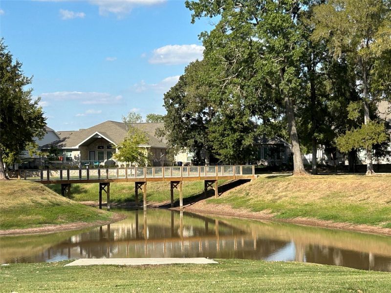 Natural landscape and outdoor views near Fulshear Lakes - 60' in Fulshear (Image 21). Natural landscape and outdoor views near Fulshear Lakes - 60' in Fulshear (Image 21).