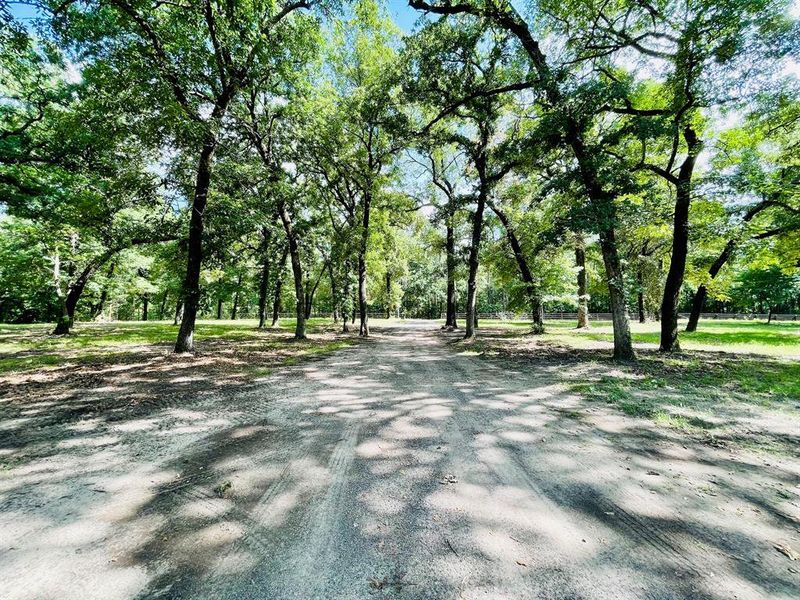 Natural landscape and outdoor views near  in Quitman (Image 6).