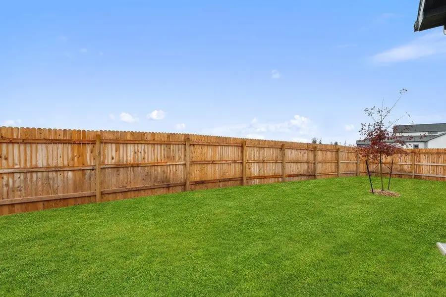 View of fenced backyard includes sod and irrigation