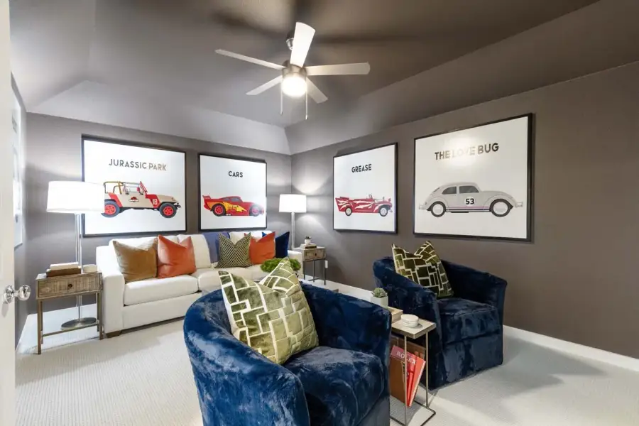 Representative Entertainment Room - some options shown Representative Entertainment Room - some options shown