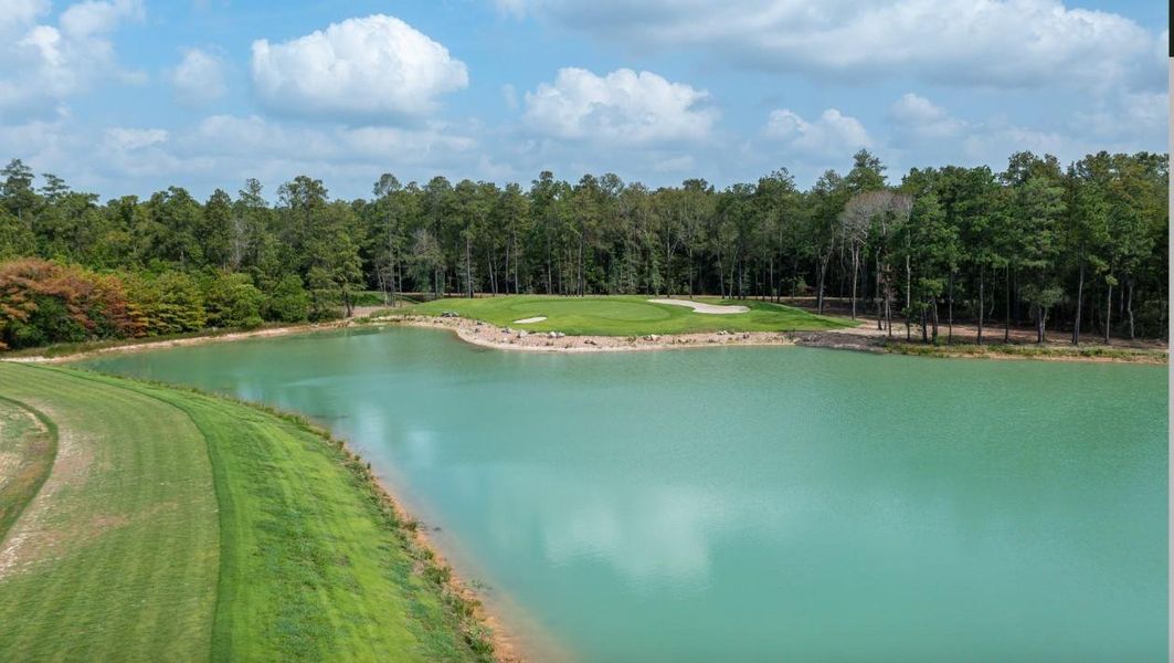 Image 31 of a home in The Highlands 50'.