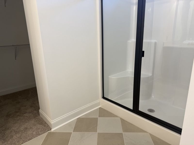 Owner's Bath