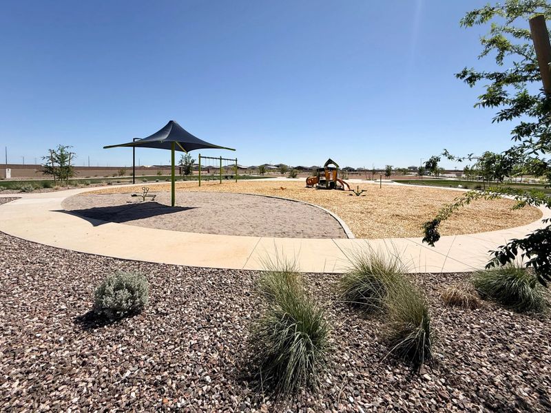 Community amenities in Skyline Village, San Tan Valley (Image 41).