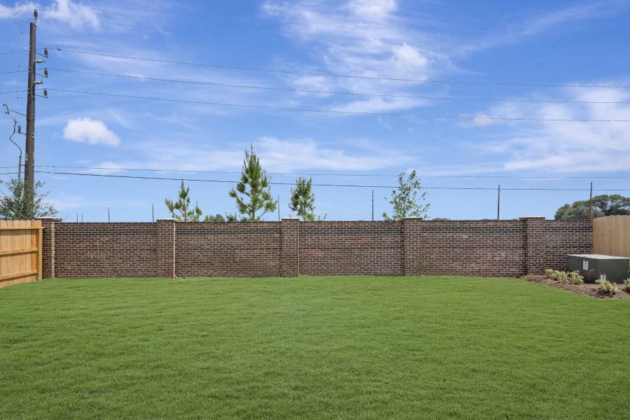 Backyard Backyard