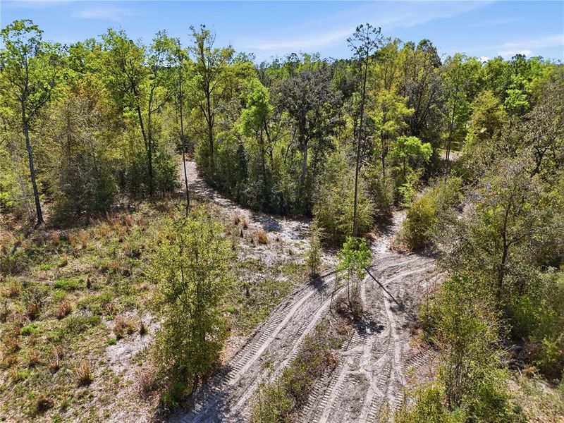 Natural landscape and outdoor views near  in Newberry (Image 33).