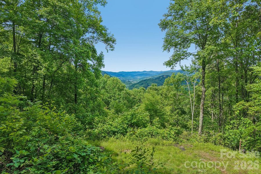 Natural landscape and outdoor views near  in Maggie Valley (Image 31).
