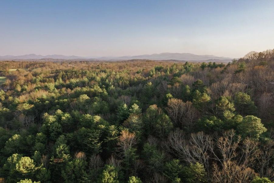 Natural landscape and outdoor views near  in Mineral Bluff (Image 36).