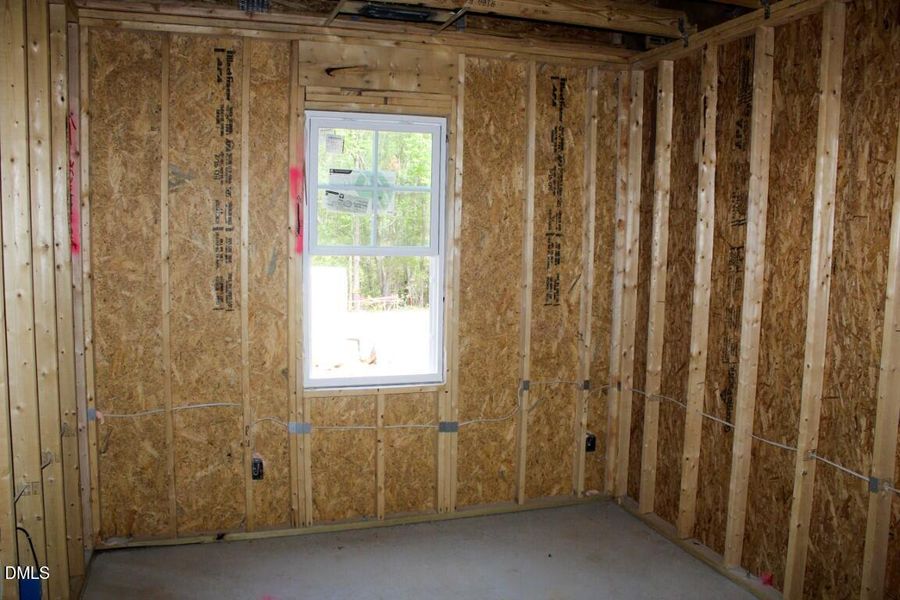 IMG_7542 (Medium) IMG_7542 (Medium)