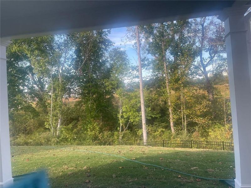 Natural landscape and outdoor views near Garrett Preserve in Douglasville (Image 45).