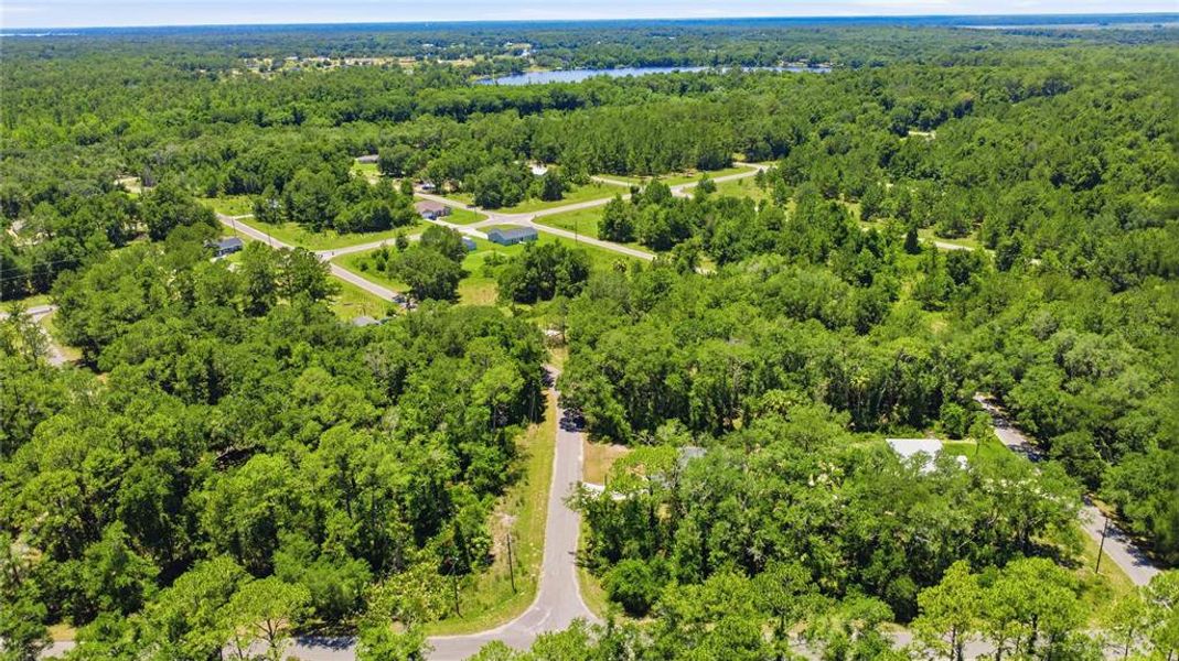 Natural landscape and outdoor views near in Ocklawaha (Image 43). Natural landscape and outdoor views near in Ocklawaha (Image 43).