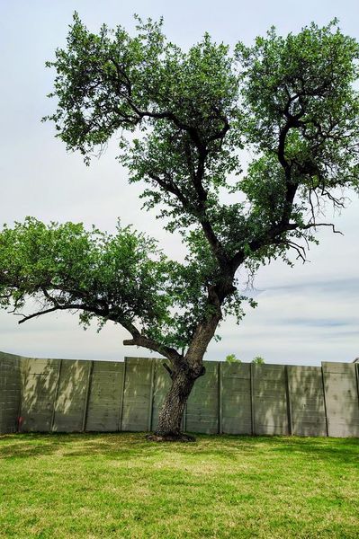 Natural landscape and outdoor views near Wolf Ranch in Georgetown (Image 36).