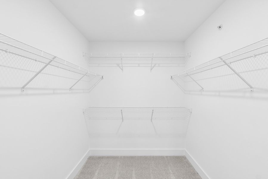 Owner's Bath