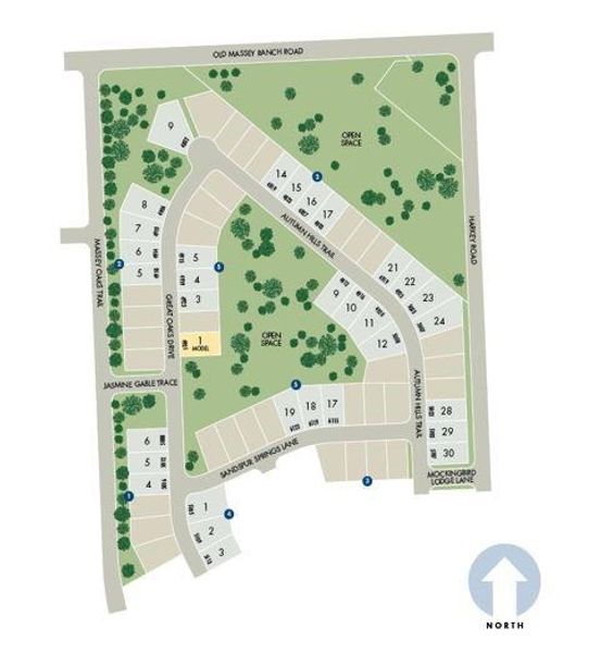 Image 6 of a home in Massey Oaks - Premier Series. Image 6 of a home in Massey Oaks - Premier Series.