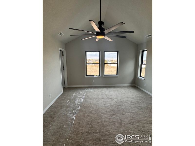 Large Primary Bedroom w/ Vaulted Ceilings