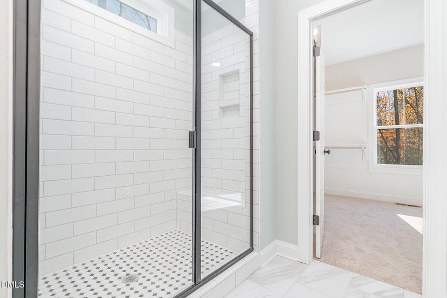 033_wag04101-edit_568 033_wag04101-edit_568