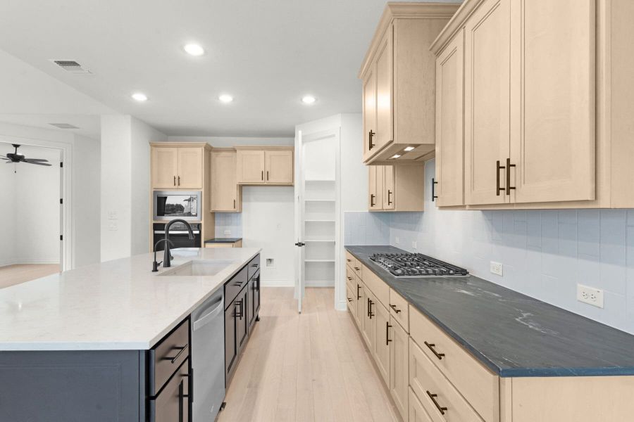 328 Buckaroo Segovia Sitterle Homes Austin Parmer Ranch