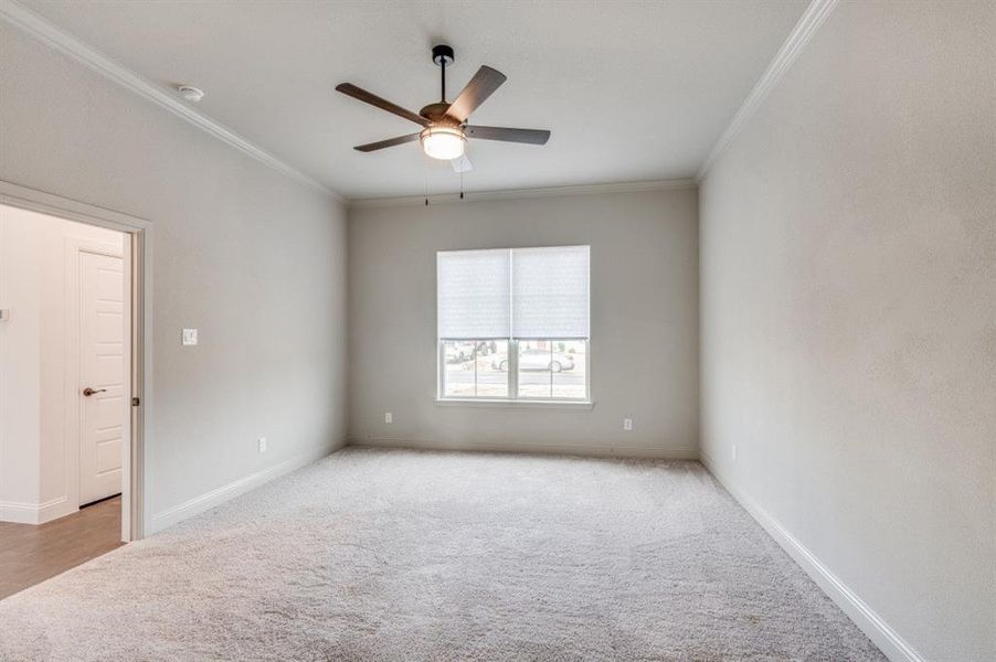 Carpeted spare room featuring crown molding and ceiling fan