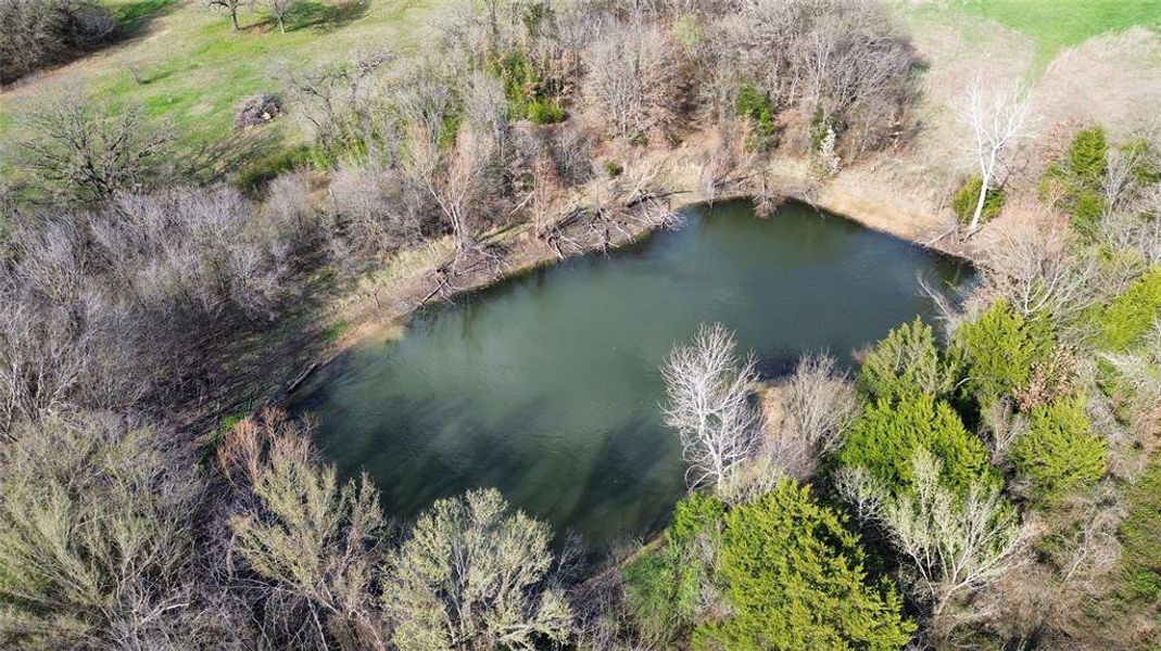 Natural landscape and outdoor views near  in Grandview (Image 26).