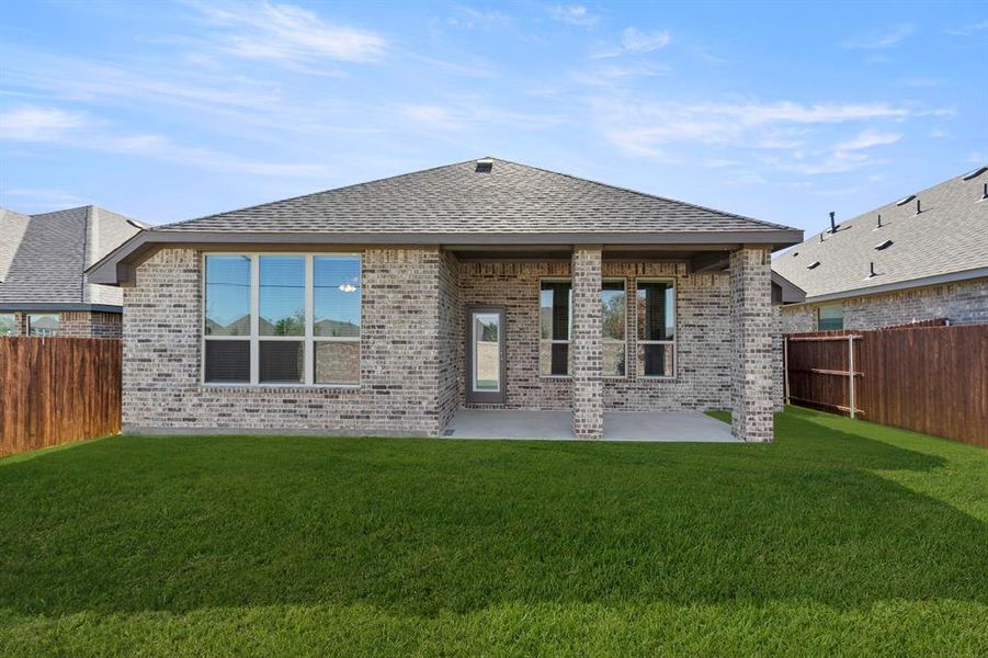 26. 139 Whistling Duck - Back