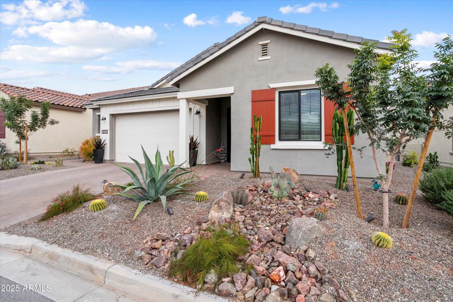 The Goldfinch By K. Hovanian