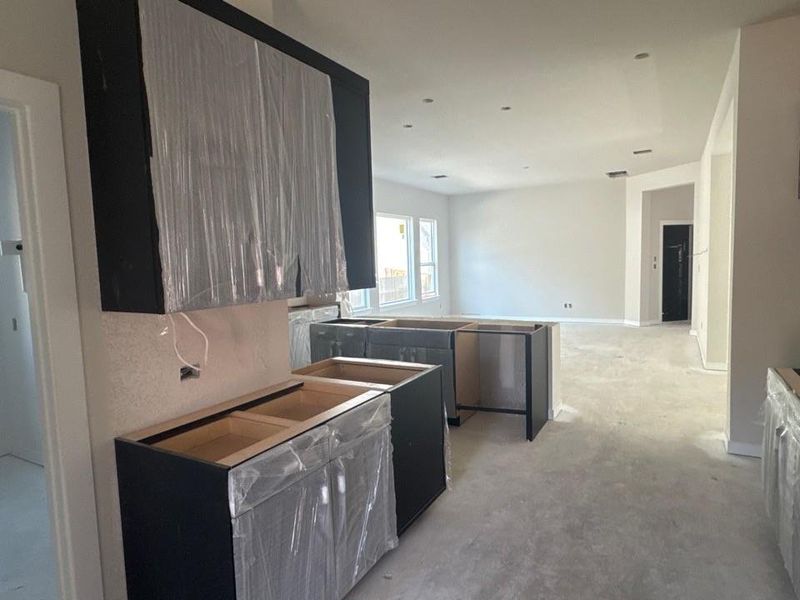 Kitchen with light colored carpet and open floor plan Kitchen with light colored carpet and open floor plan