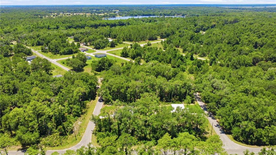 Natural landscape and outdoor views near in Ocklawaha (Image 42). Natural landscape and outdoor views near in Ocklawaha (Image 42).