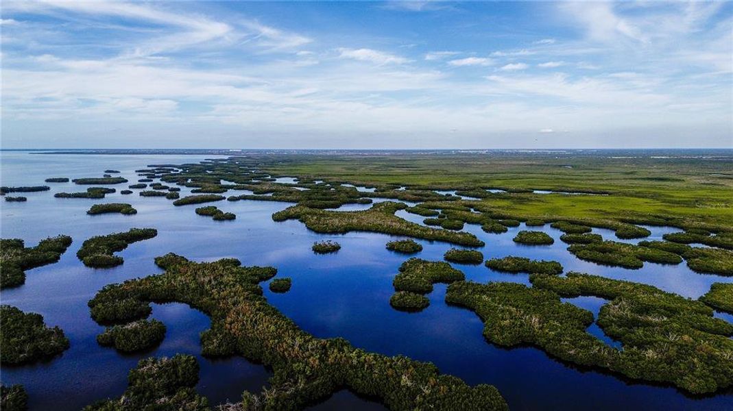 Natural landscape and outdoor views near  in Punta Gorda (Image 45).