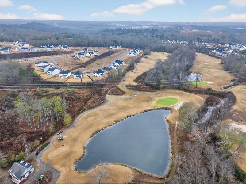 Image 85 of a home in Reunion. Image 85 of a home in Reunion.