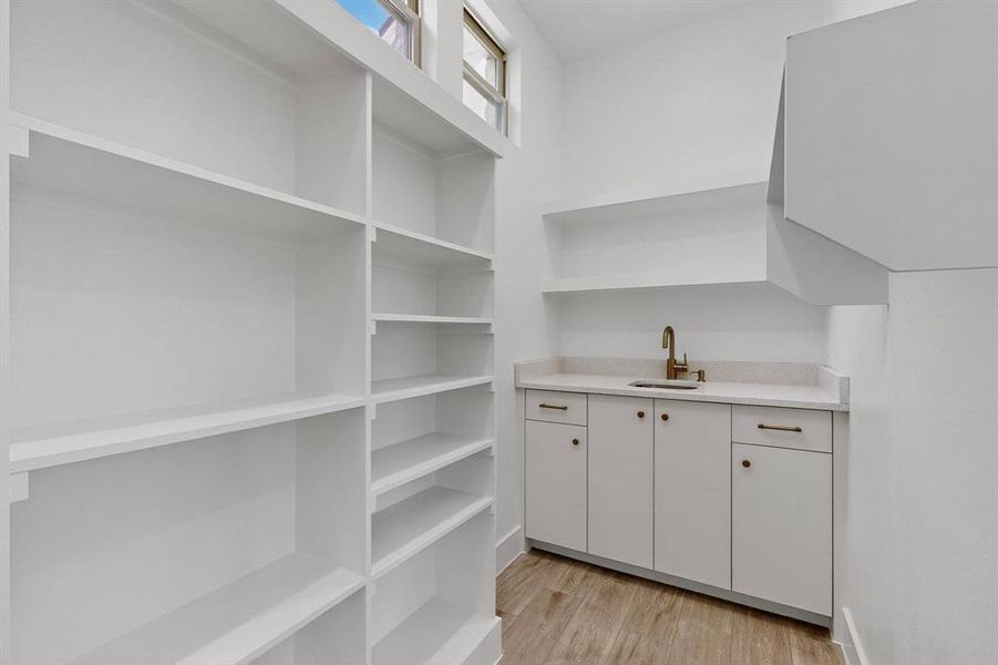 Storage area featuring a sink