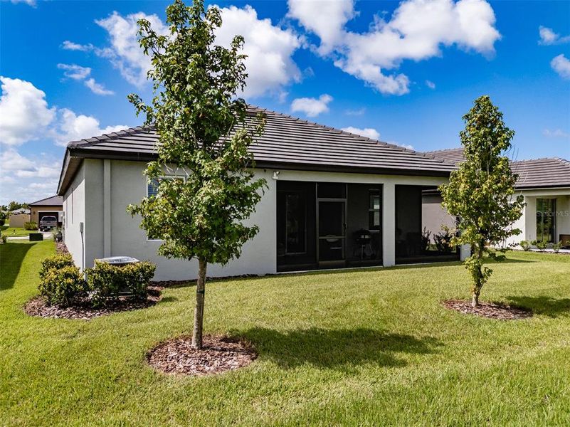 Exterior details and patio area of a home in Prosperity Lakes, Parrish (Image 27).